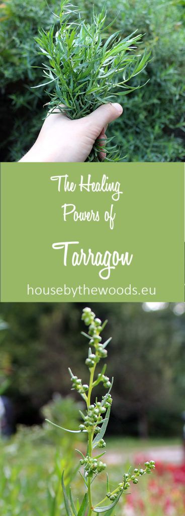 Get to konw all the healing benefits of tarragon and start growin and using it.