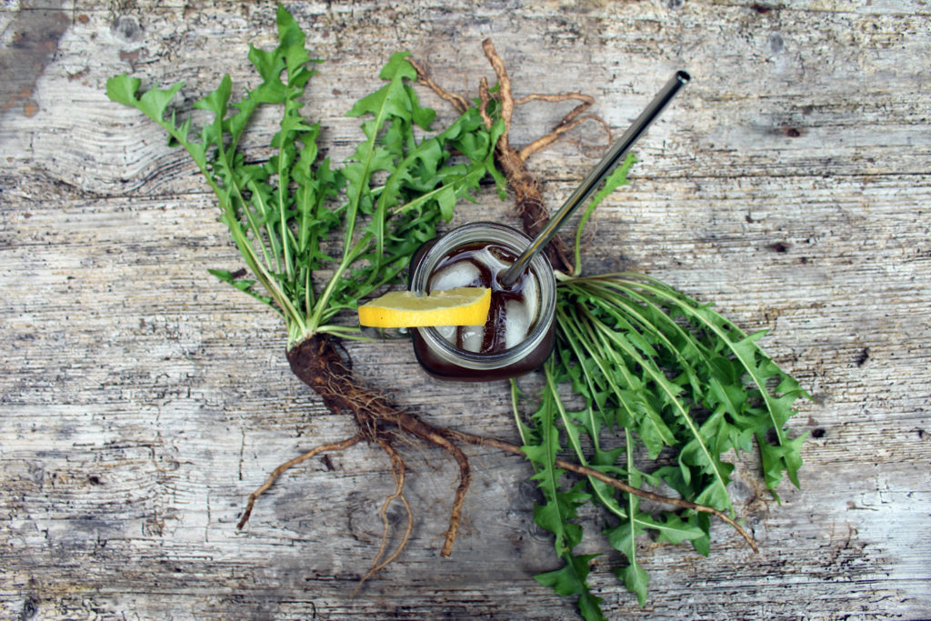 dandelion iced tea recipe root health benefit use