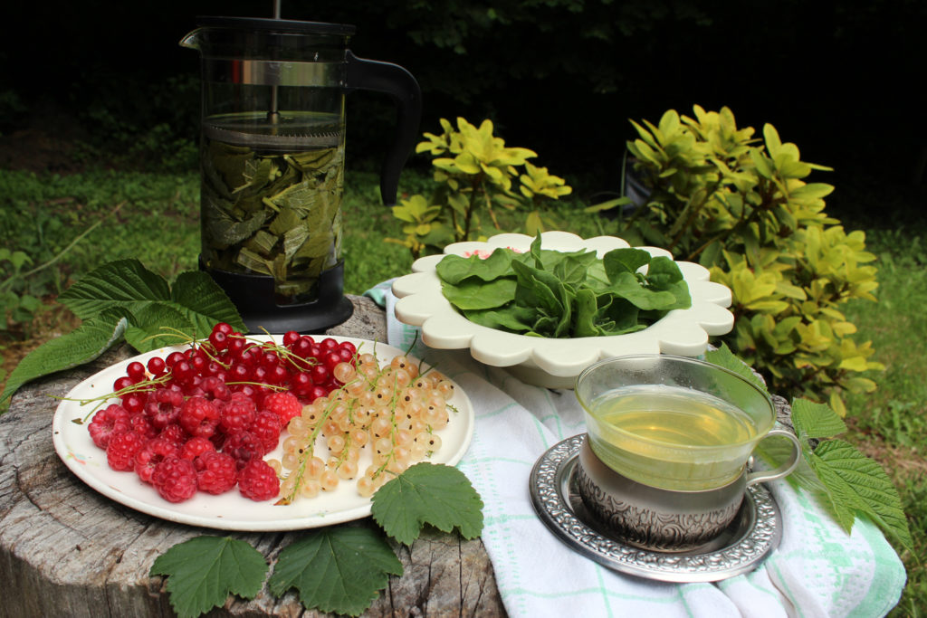 pregnancy garden natural eating supplement iron foli acid red raspberry leaf tea